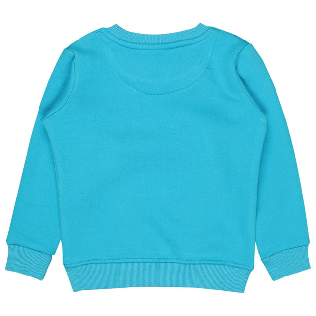 Baby Boys Sweatshirt Round Neck Full Sleeves - Bodycare