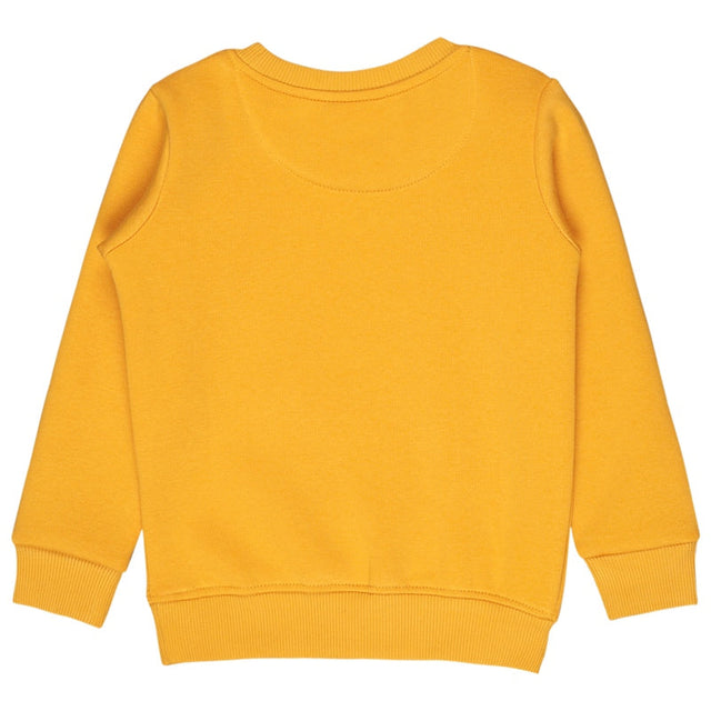 Baby Boys Round Neck Full Sleeve Sweatshirt for Regular Casual Wear, Comfortable Styling and Wardrobe Use