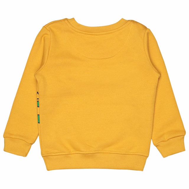 Baby Boys Round Neck Full Sleeves Sweatshirt for Casual Wear, Lounge Comfort and Everyday Wardrobe Use