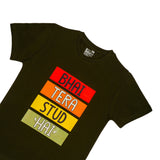 Boys 100% Cotton Round Neck Half Sleeves T-Shirt for Casual Wear, Everyday Comfort and Regular Wardrobe Use