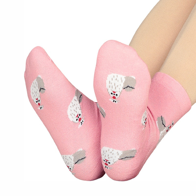 Bodycare Womens Mid Calf Printed Socks Pack Of 2