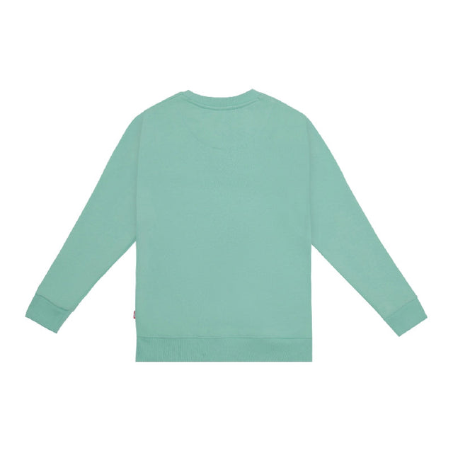 Girls Princess Printed Round Neck Sweatshirt with Full Sleeves for Casual Wear and Cool-Weather Comfort