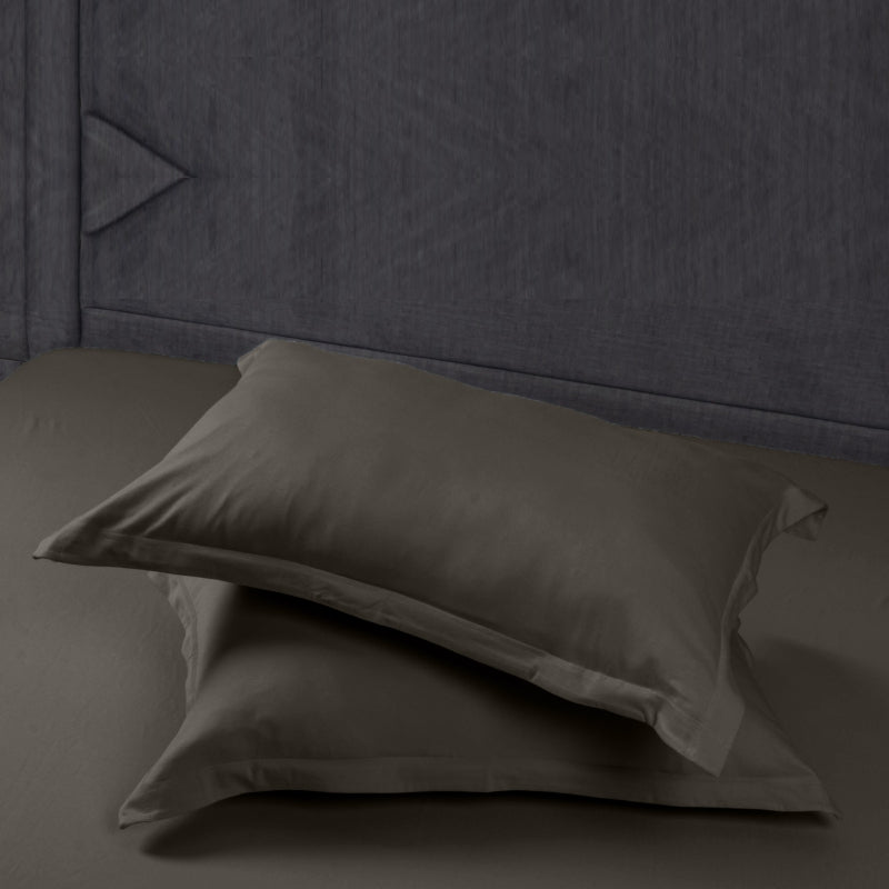 Bodycomfy 100% Cotton Hosiery Single bed Fitted Bedsheet – Anchor Motif Print