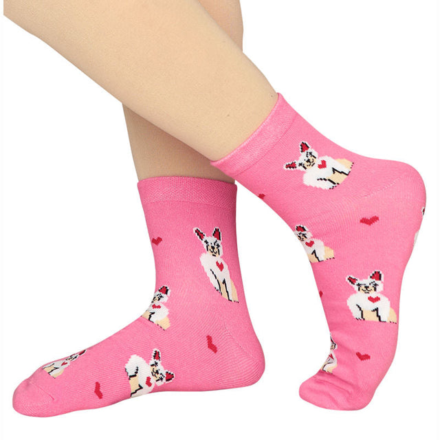 Women Cotton Spandex Socks Stretch Pack of 3 - Bodycare