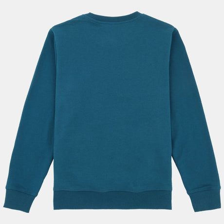 DYCA Boys Sweat Shirt Round Neck Full Sleeves Pack Of 1