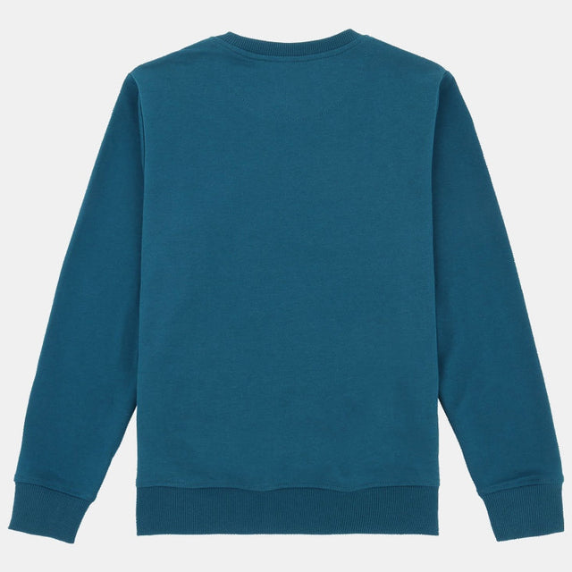 Boys Sweatshirt Round Neck Full Sleeves Pack of 1 - Bodycare