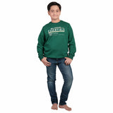 Boys Sweatshirt Round Neck Full Sleeves - Bodycare