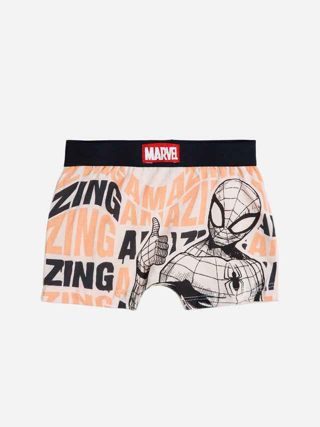 Boys Cotton Trunk with Top Elastic for Everyday Innerwear Comfort and Multipack Wardrobe Use - Pack of 3
