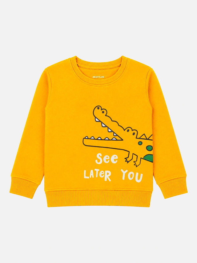 Baby Boys Round Neck Full Sleeves Sweatshirt for Casual Wear, Lounge Comfort and Everyday Wardrobe Use