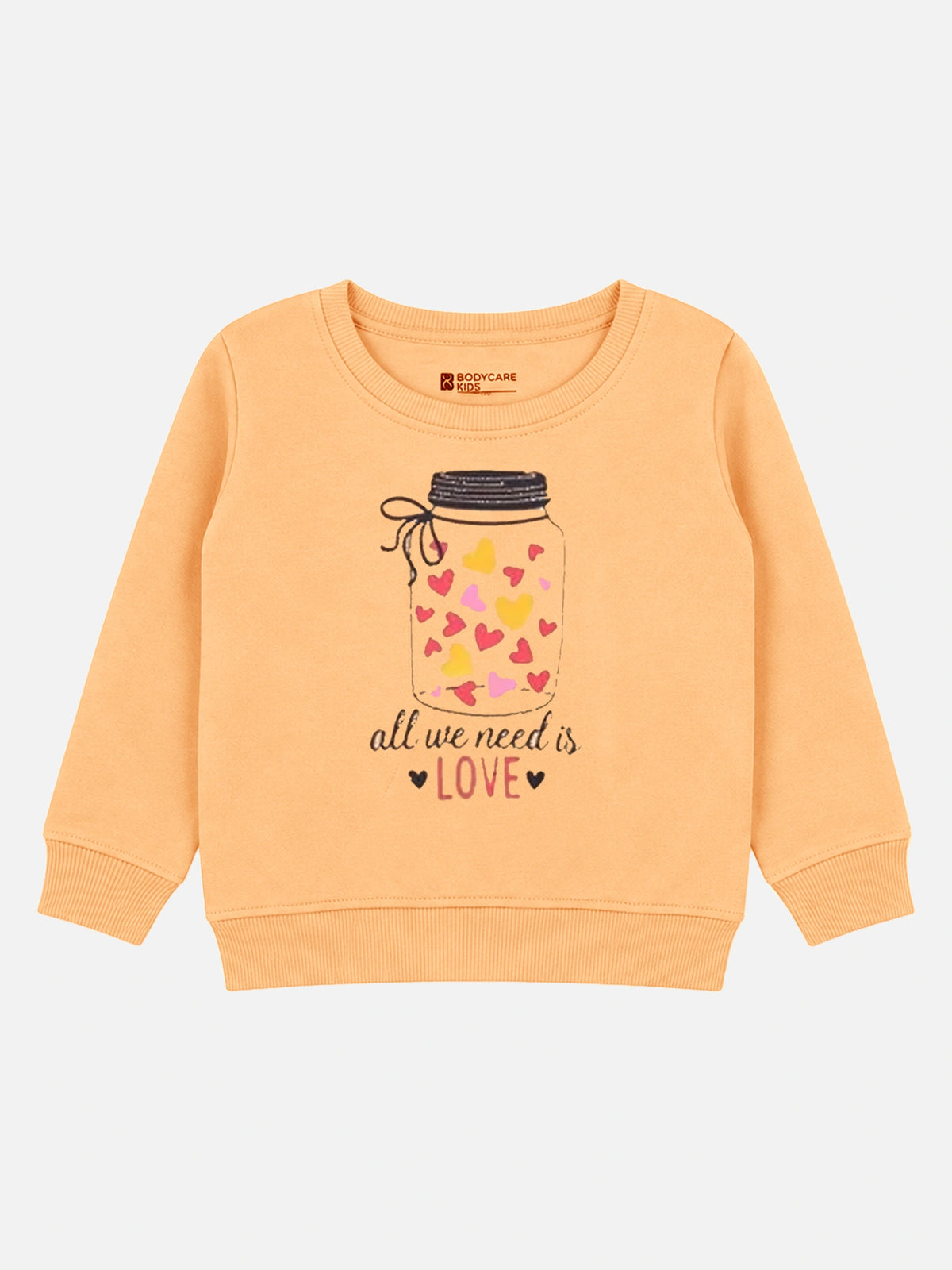 Baby Girls Round Neck Full Sleeve Sweatshirt for Everyday Casual Wear, Easy Comfort and Wardrobe Styling