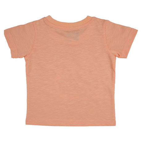 Baby Boys T-Shirt Round Neck Half Sleeves Pack of 2 - Bodycare