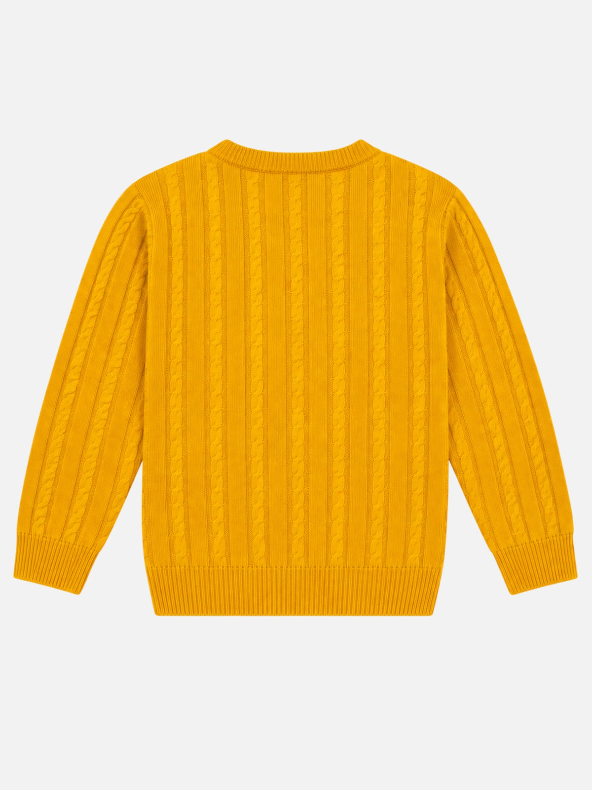 Boys Soft Cotton Blend Sweater for Winter Wear, Warm Comfort, Casual Styling and Wardrobe Essentials