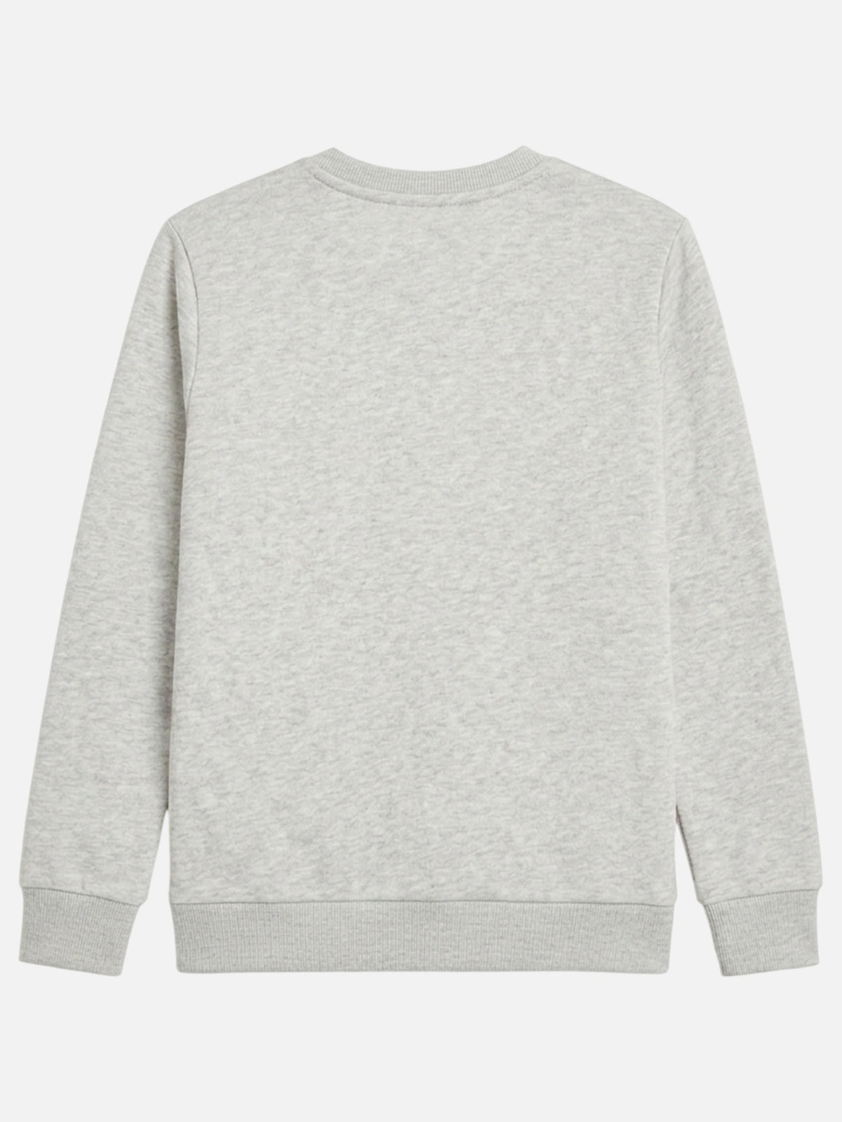 Girls Princess Printed Round Neck Sweatshirt with Full Sleeves for Casual Outfits and Everyday Comfort