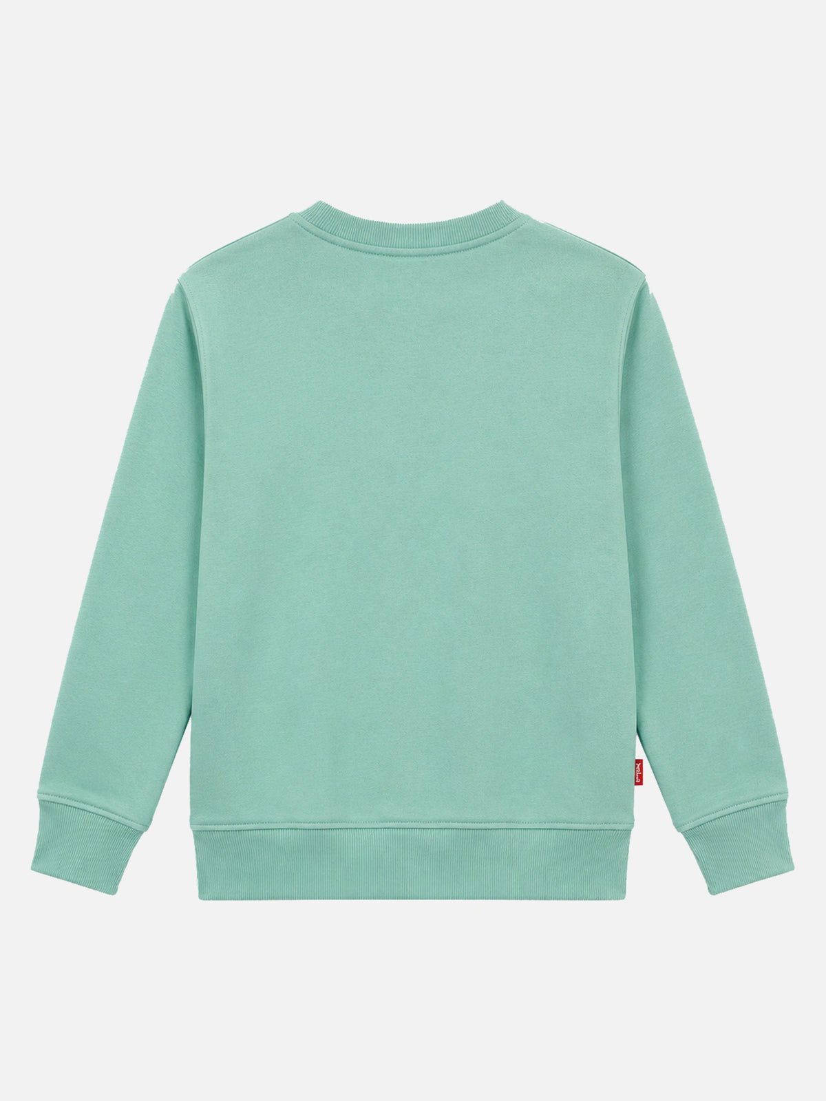 Girls Princess Printed Round Neck Sweatshirt with Full Sleeves for Casual Wear and Cool-Weather Comfort