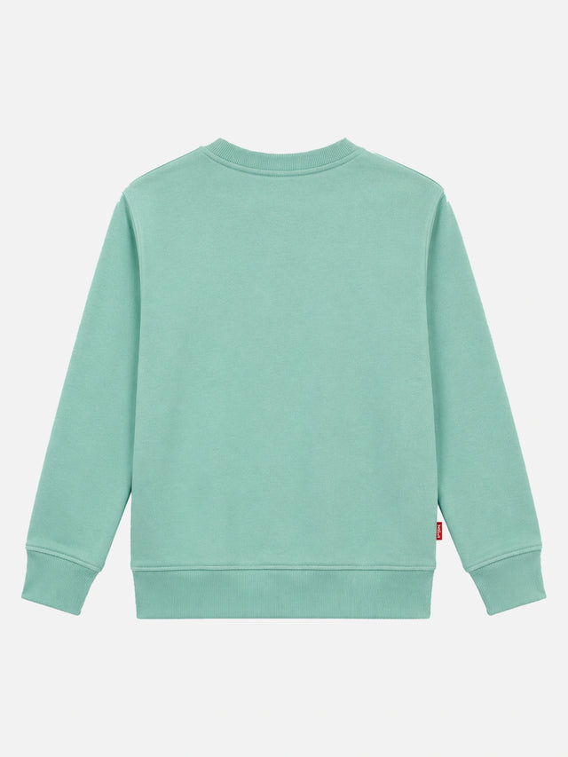 Girls Princess Printed Round Neck Sweatshirt with Full Sleeves for Casual Wear and Cool-Weather Comfort