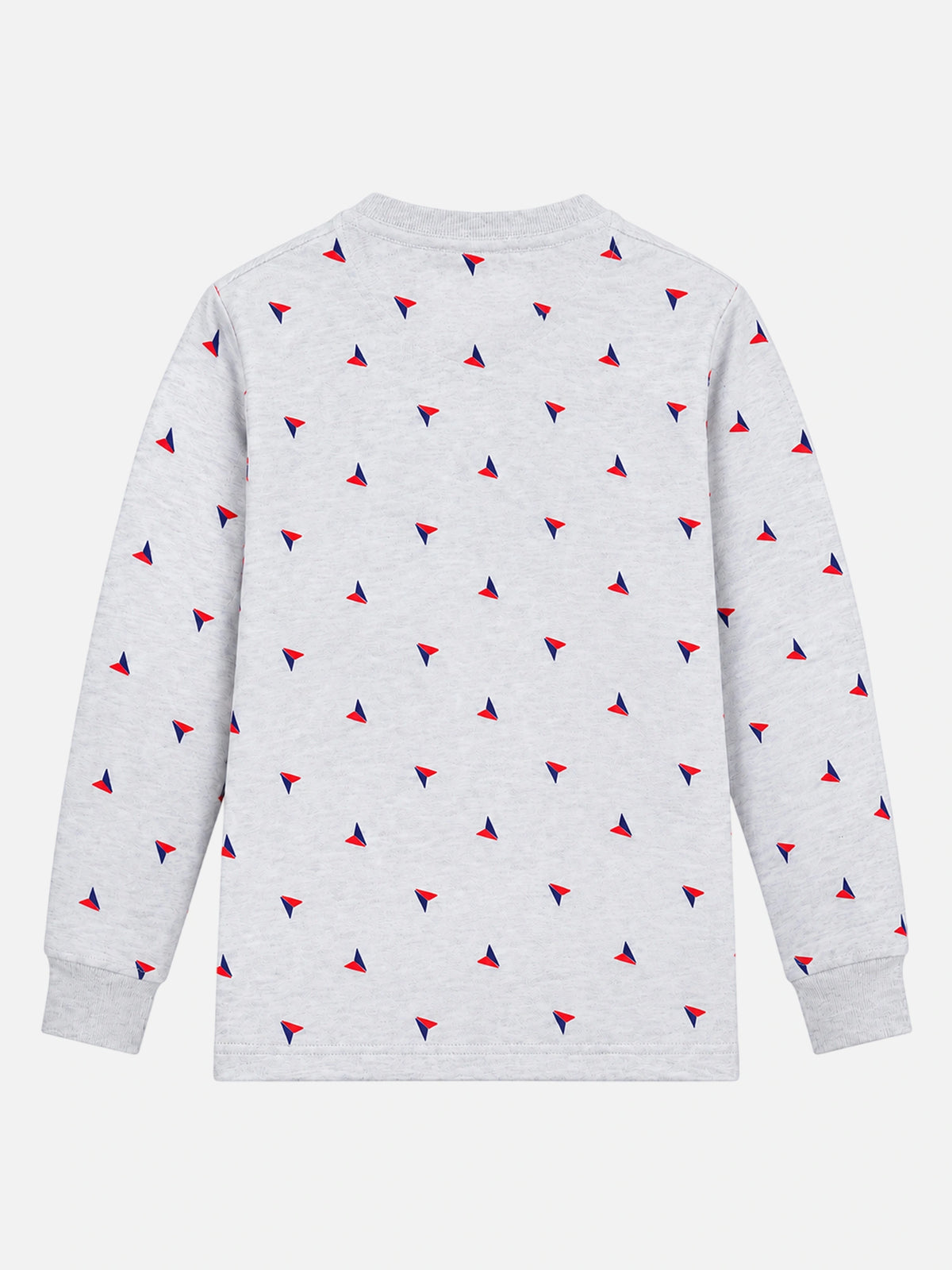 Boys Printed Round Neck Full Sleeve T-Shirt for Casual Wear, Comfortable Coverage and Everyday Wardrobe Use - Pack of 1