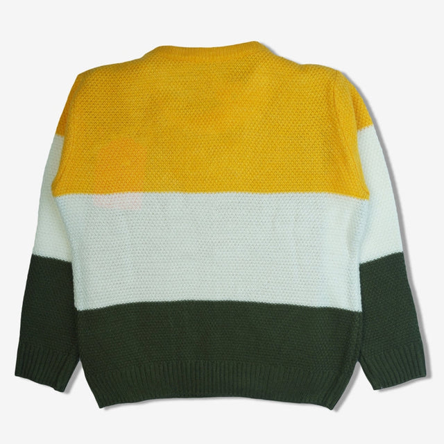 Boys Sweater Round Neck Full Sleeves - Bodycare