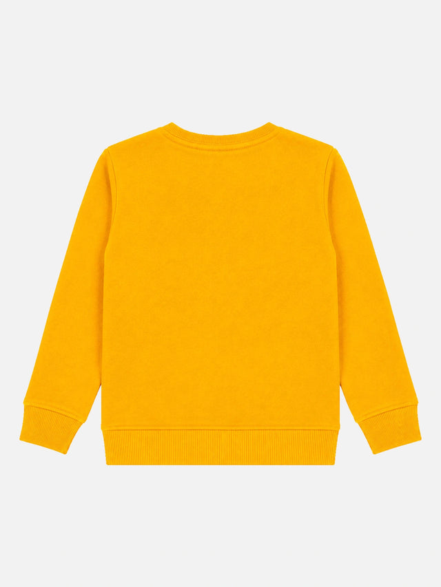 Baby Boys Round Neck Full Sleeves Sweatshirt for Casual Wear, Lounge Comfort and Everyday Wardrobe Use