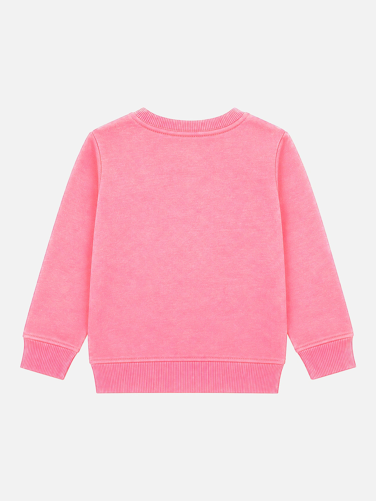 Baby Girls Round Neck Full Sleeve Sweatshirt for Comfortable Casual Wear, Everyday Styling and Regular Use