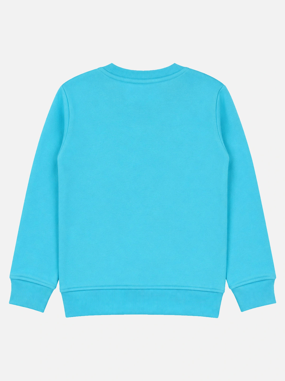 Baby Boys Printed Round Neck Full Sleeve Sweatshirt for Everyday Winter Wear, Casual Comfort and Easy Styling