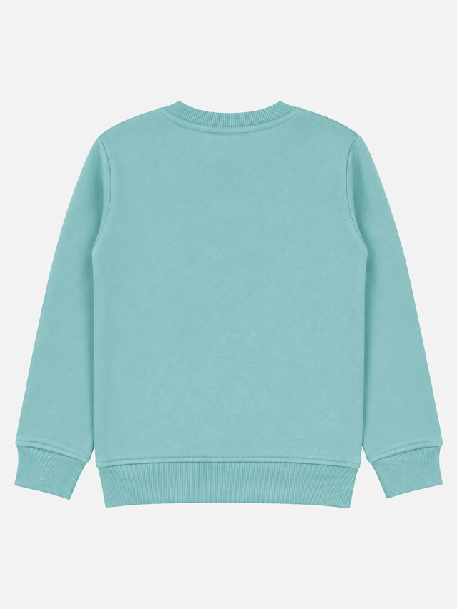 Baby Boys French Terry Printed Sweatshirt Pullover with Full Sleeves and Soft Cotton Fabric for Winter Wear