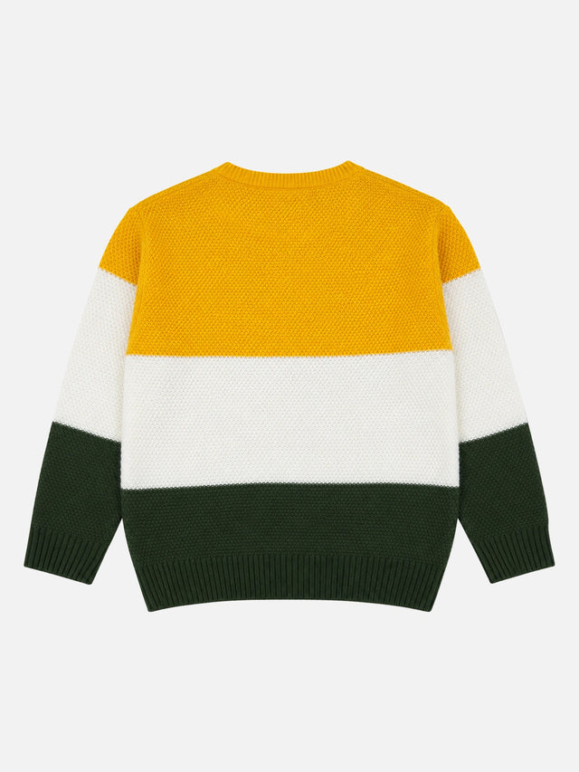 Boys Polyester Blend Round Neck Full Sleeves Sweater with Comfortable Winter Wear Styling and Casual Use