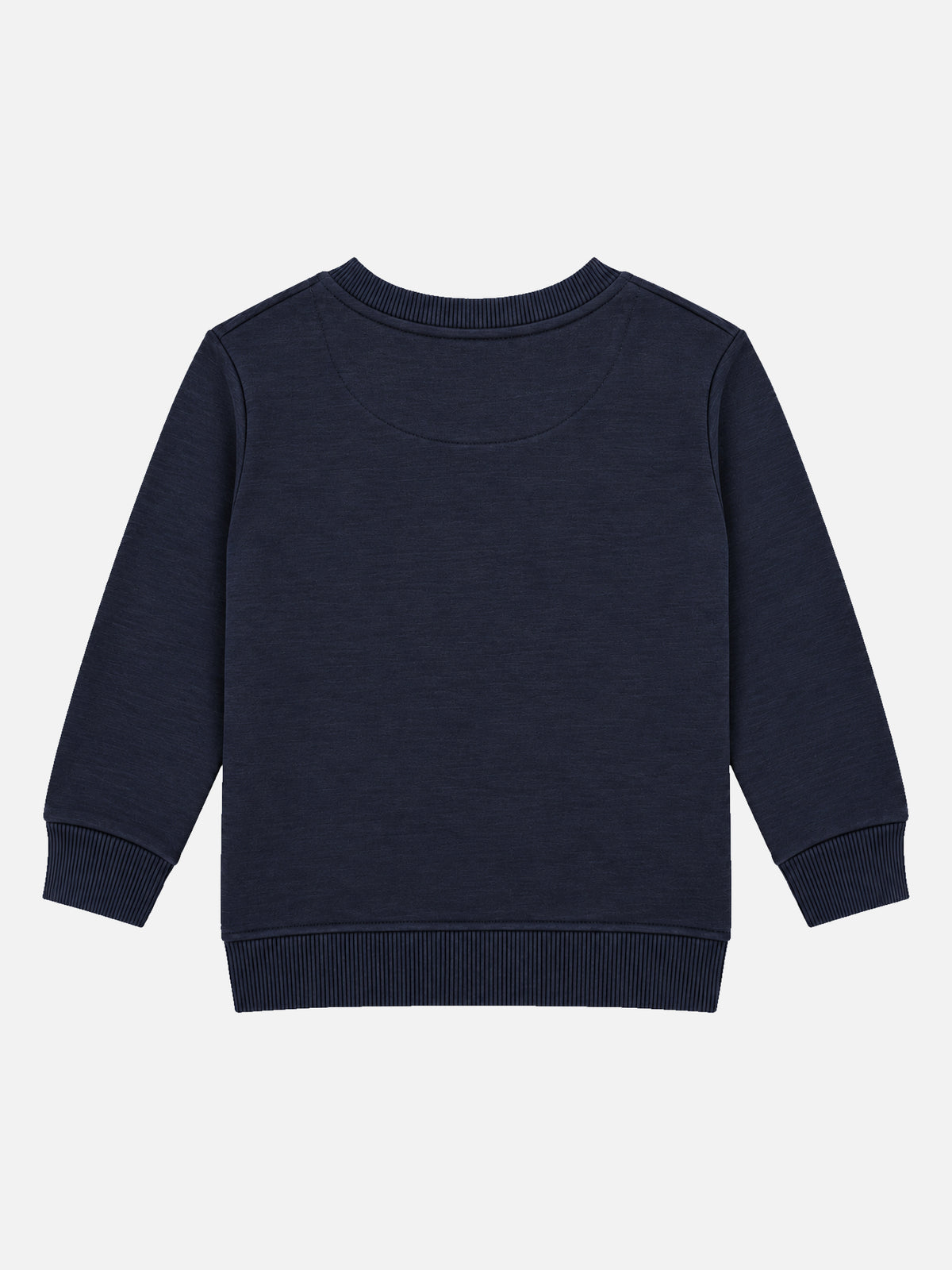 Baby Boys Round Neck Full Sleeve Sweatshirt for Everyday Comfort, Casual Winter Wear and Easy Wardrobe Styling