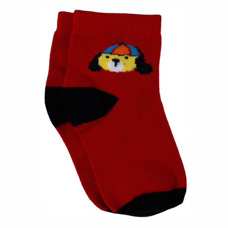 Bodycare Boys Socks Pack Of 3