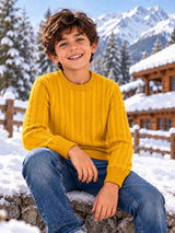 Boys Soft Cotton Blend Sweater for Winter Wear, Warm Comfort, Casual Styling and Wardrobe Essentials