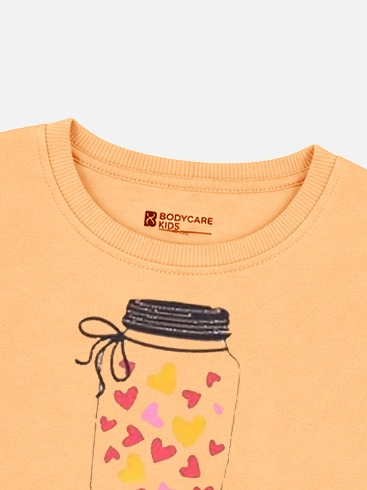 Baby Girls Round Neck Full Sleeve Sweatshirt for Everyday Casual Wear, Easy Comfort and Wardrobe Styling