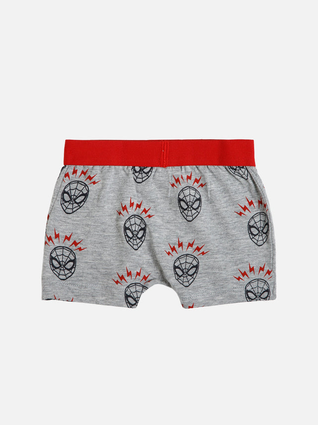Boys Cotton Trunk with Top Elastic for Everyday Innerwear Comfort and Multipack Wardrobe Use - Pack of 3