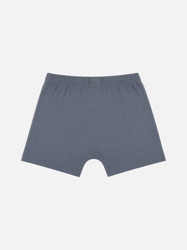 Boys Cotton Trunk with Inner Elastic for Everyday Innerwear Comfort and Regular Wardrobe Use - Pack of 2