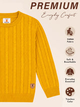 Boys Soft Cotton Blend Sweater for Winter Wear, Warm Comfort, Casual Styling and Wardrobe Essentials