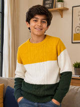 Boys Polyester Blend Round Neck Full Sleeves Sweater with Comfortable Winter Wear Styling and Casual Use