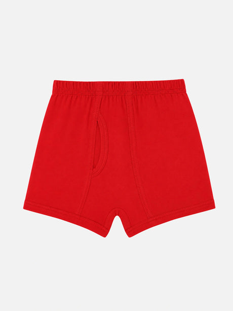 Boys Trunk Inner Elastic Pack of 3