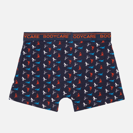 Boys Trunk Pack of 2 - Bodycare