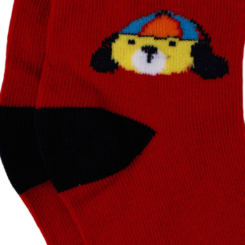 Bodycare Boys Socks Pack Of 3