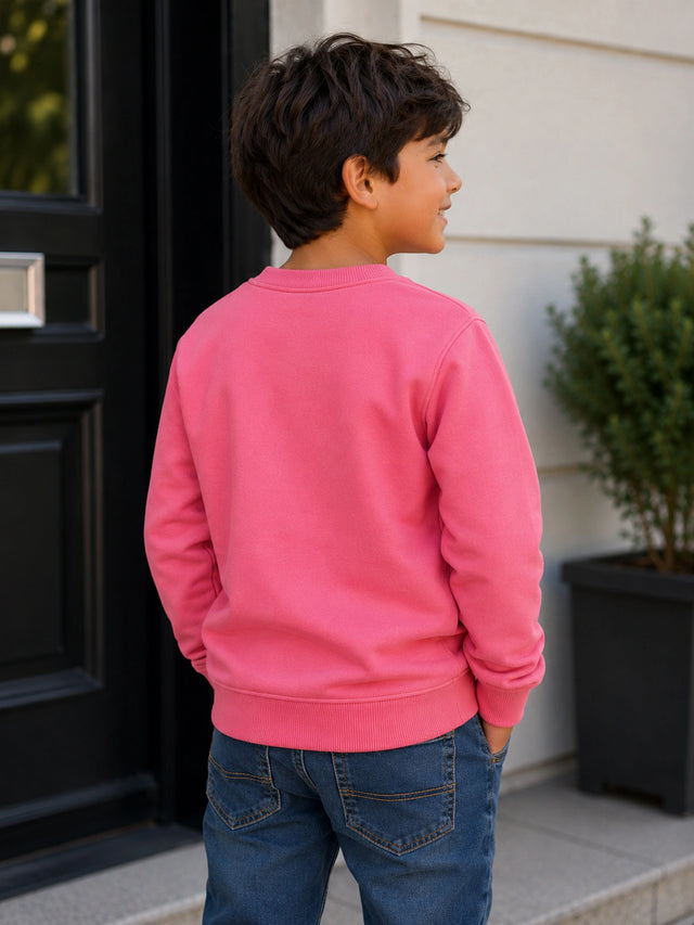 Girls Round Neck Full Sleeve Sweatshirt with Casual Wear Comfort, Lounge-Ready Styling and Regular Seasonal Use