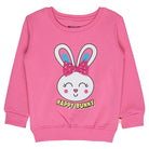 Enchanting Aurora Pink Baby Girls Sweatshirt!