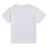 DYCA Boys Tshirt Round Neck Half Sleeves