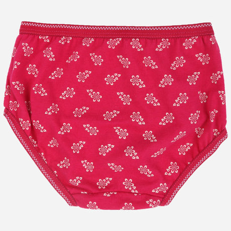 DYCA Girls Panty Pack Of 3