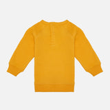 Baby Boys Sweatshirt - Bodycare