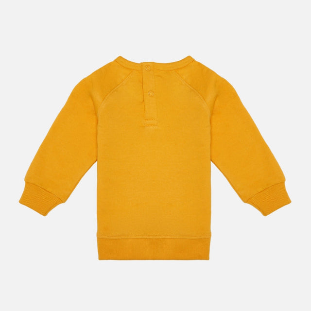 Baby Boys Sweatshirt - Bodycare
