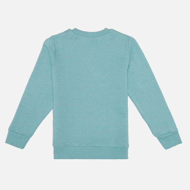 Baby Boys French Terry Sweatshirt - Bodycare