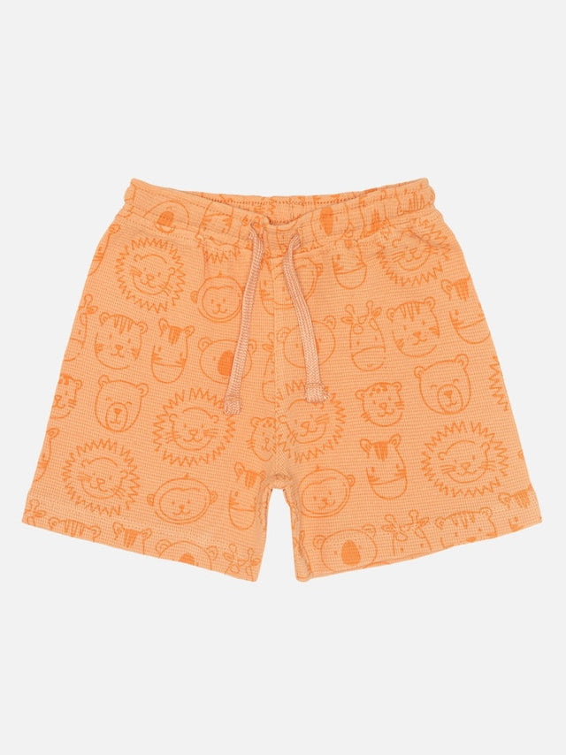 Baby Boys Shorts Pack of 1 - Bodycare