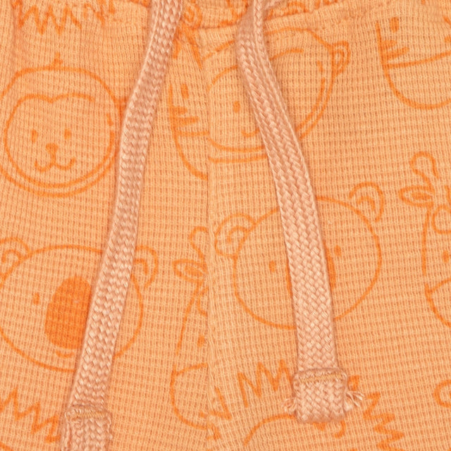 Baby Boys Shorts Pack of 1 - Bodycare