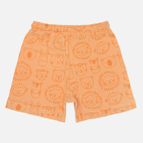 Baby Boys Shorts Pack of 1