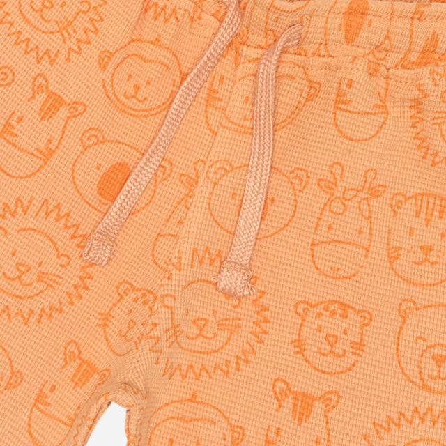 Baby Boys Shorts Pack of 1 - Bodycare