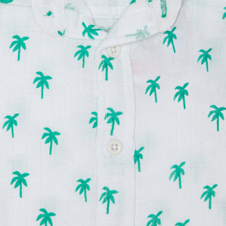 Boys Shirt Half Sleeves