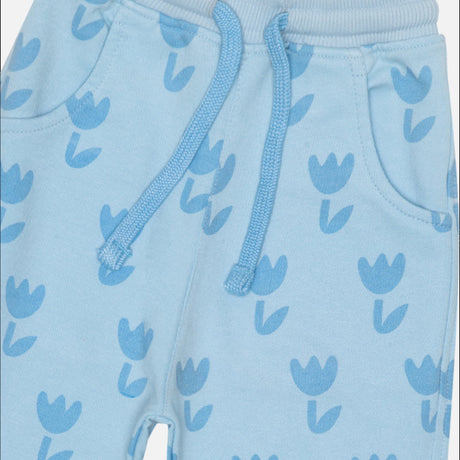 Baby Girls Track Pant Pack of 1